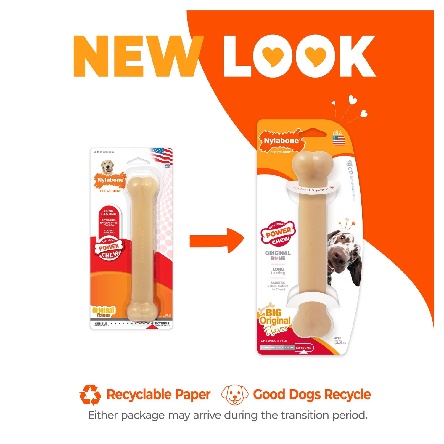 Nylabone® DuraChew® Bone Chew Dog Toy 3 Nylabone® DuraChew® Bone Chew Dog Toy - Image 3