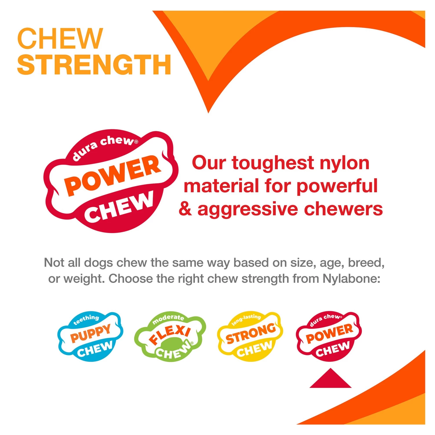 Nylabone® DuraChew® Bone Chew Dog Toy 4 Nylabone® DuraChew® Bone Chew Dog Toy - Image 4