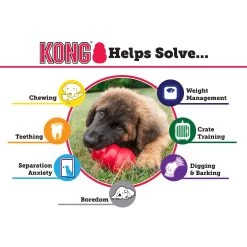 KONG® Extreme Dog Toy -Treat Dispensing -Pet Essentials Shop 1811627 alt2