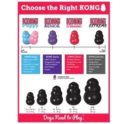 KONG® Extreme Dog Toy -Treat Dispensing -Pet Essentials Shop 1811627 alt3