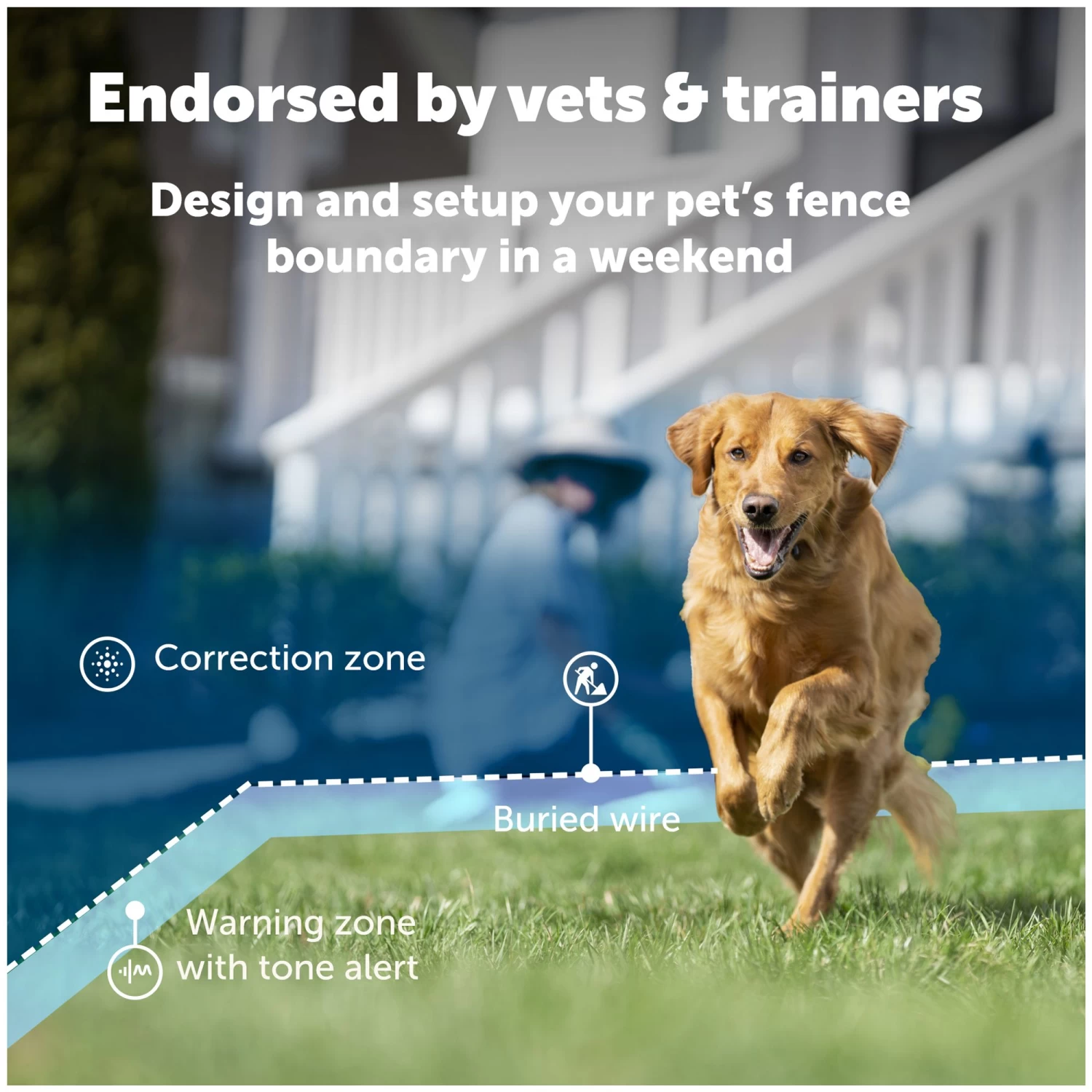 PetSafe® In-Ground Dog Fence 2 PetSafe® In-Ground Dog Fence - Image 2