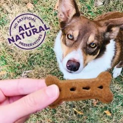 Old Mother Hubbard® P-Nuttier Large Biscuit Dog Treats - Natural -Pet Essentials Shop 5017672 alt4