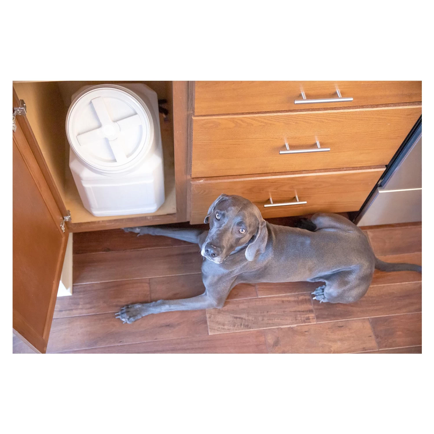 Vittles Vault® By GAMMA2 Outback Stackable Pet Food Container 5 Vittles Vault® By GAMMA2 Outback Stackable Pet Food Container - Image 5