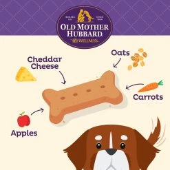 Old Mother Hubbard Oven-Baked Dog Biscuits 10 Old Mother Hubbard Oven-Baked Dog Biscuits -Pet Essentials Shop 5067760 alt4