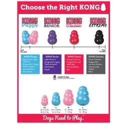 KONG® Puppy Toy - Treat Dispensing (COLOR VARIES) -Pet Essentials Shop 5075944 alt3