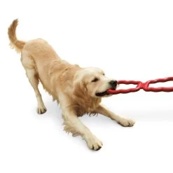 KONG® Tug Dog Toy 5 KONG® Tug Dog Toy -Pet Essentials Shop 5100226 alt2