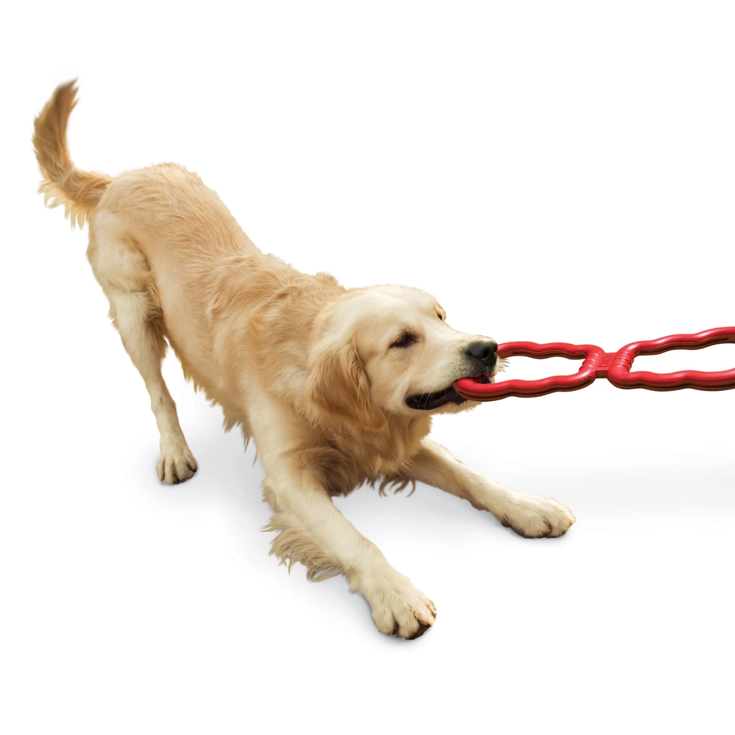 KONG® Tug Dog Toy 3 KONG® Tug Dog Toy - Image 3