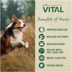 Freshpet® Vital&trade;Balanced NutritionTurkey Adult Dog Food -Pet Essentials Shop 5102565 alt5