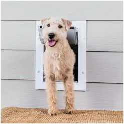 PetSafeĀ® Wall Entry Pet Door