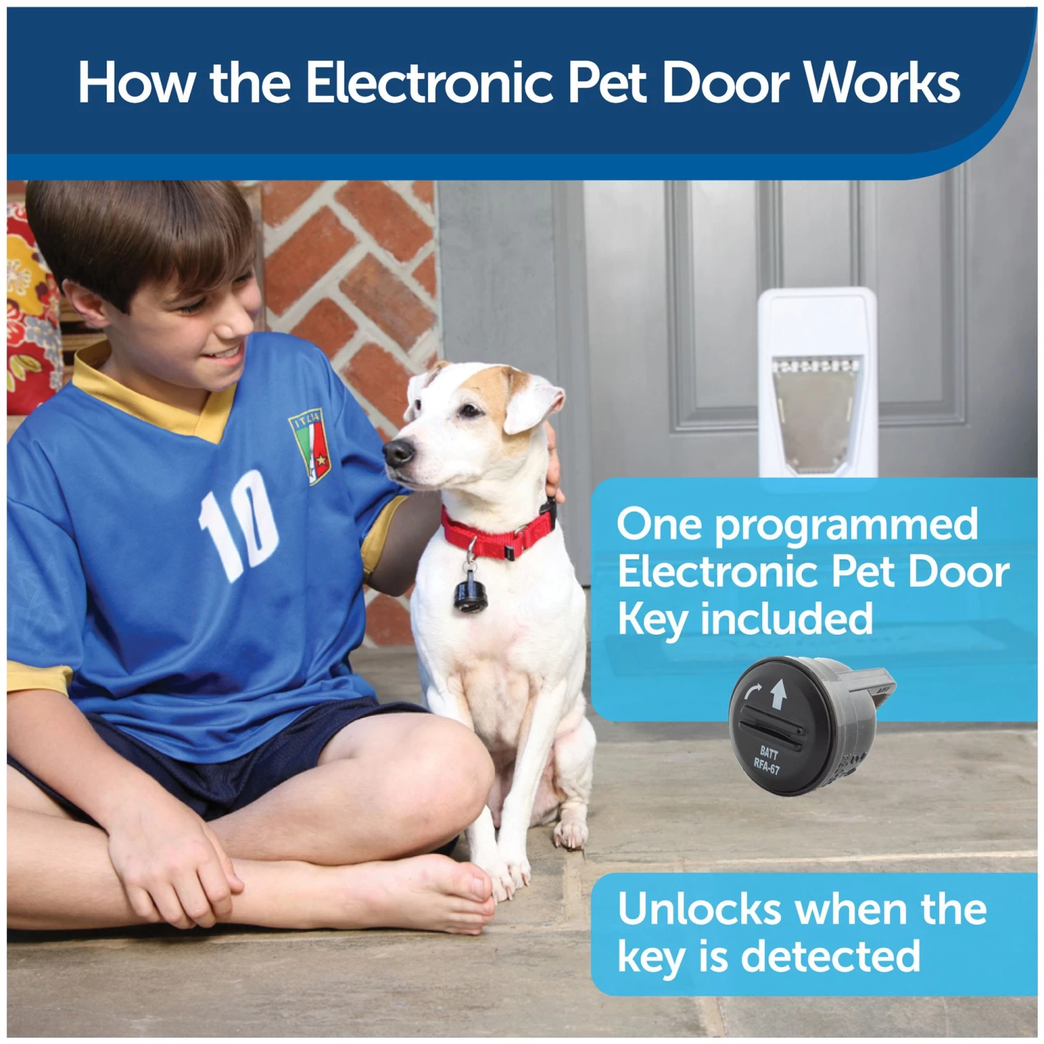 PetSafe® Electronic SmartDoor™ Pet Door 2 PetSafe® Electronic SmartDoor™ Pet Door - Image 2