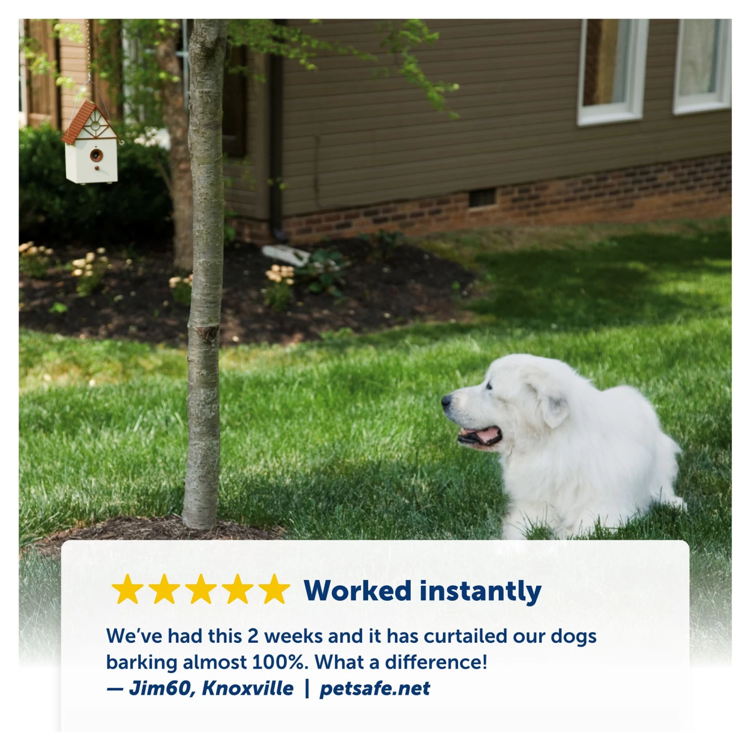 PetSafe® Outdoor Dog Bark Control 4 PetSafe® Outdoor Dog Bark Control - Image 4