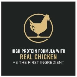 Purina Pro Plan Complete Essentials Adult Dry Dog Food - High Protein, Probiotics, Chicken & Rice -Pet Essentials Shop 5135726 alt3