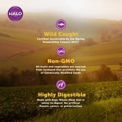 HALO®DreamCoat Adult Dog Food - Natural, Holistic Wild Salmon & Whitefish Recipe -Pet Essentials Shop 5140686 alt4
