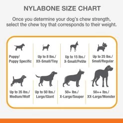 Nylabone® DuraChew® Chew Dog Toy 8 Nylabone® DuraChew® Chew Dog Toy -Pet Essentials Shop 5141556 alt3