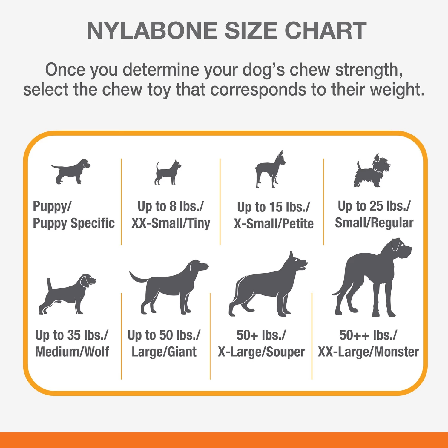 Nylabone® DuraChew® Chew Dog Toy 4 Nylabone® DuraChew® Chew Dog Toy - Image 4