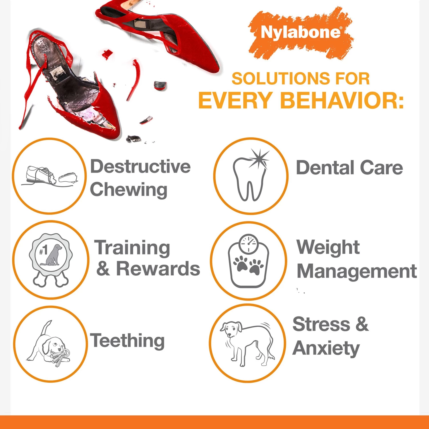 Nylabone® Dura Chew Chicken Flavored Dog Toy 2 Nylabone® Dura Chew Chicken Flavored Dog Toy - Image 2