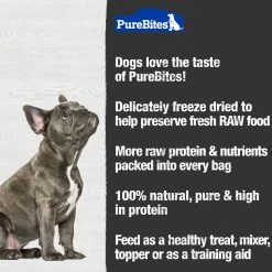 Purebites® Freeze Dried Dog Treat - Cheddar Cheese -Pet Essentials Shop 5147645 alt4