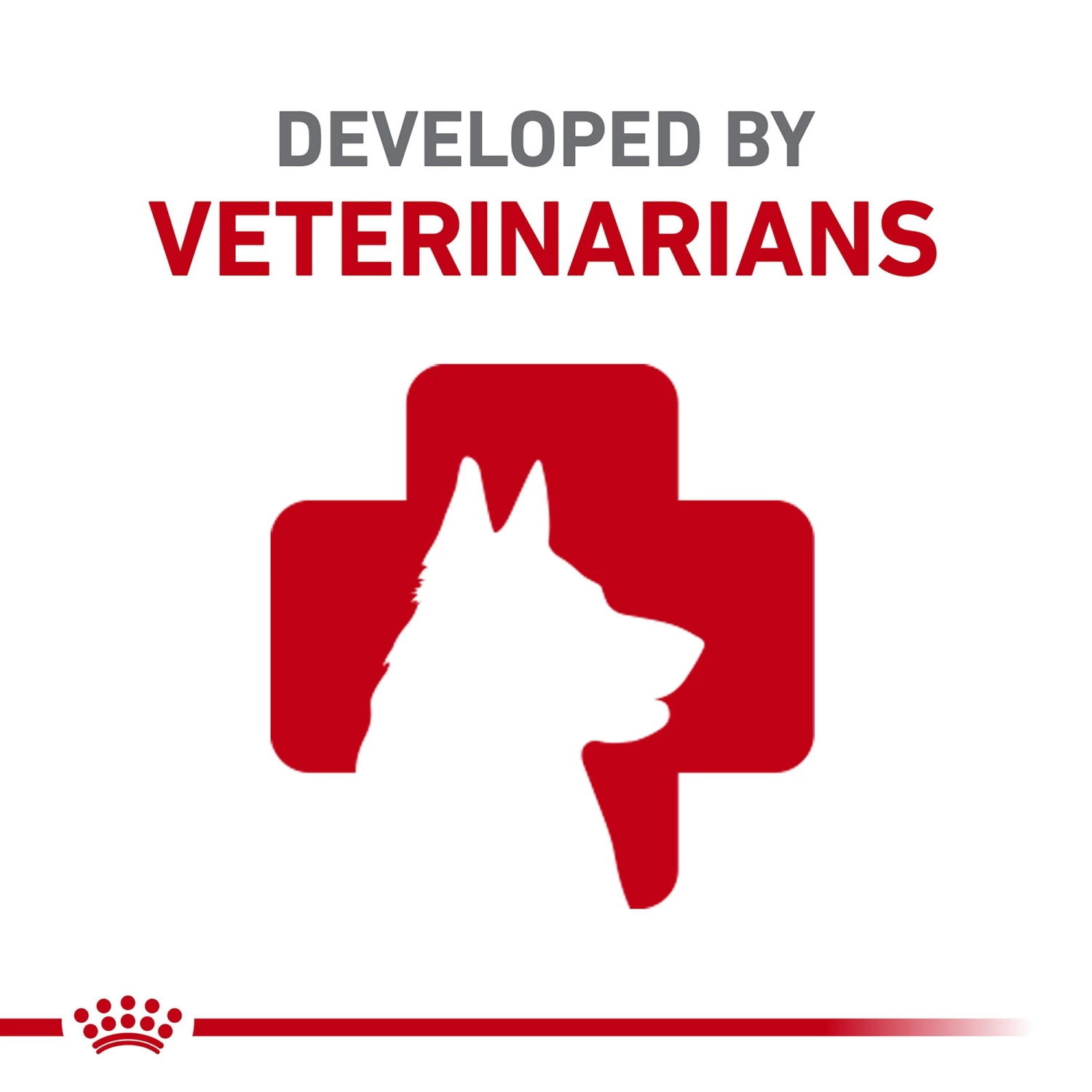 Royal Canin® Breed Health Nutrition® Shih Tzu Adult Breed Specific Dry Dog Food 4 Royal Canin® Breed Health Nutrition® Shih Tzu Adult Breed Specific Dry Dog Food - Image 4