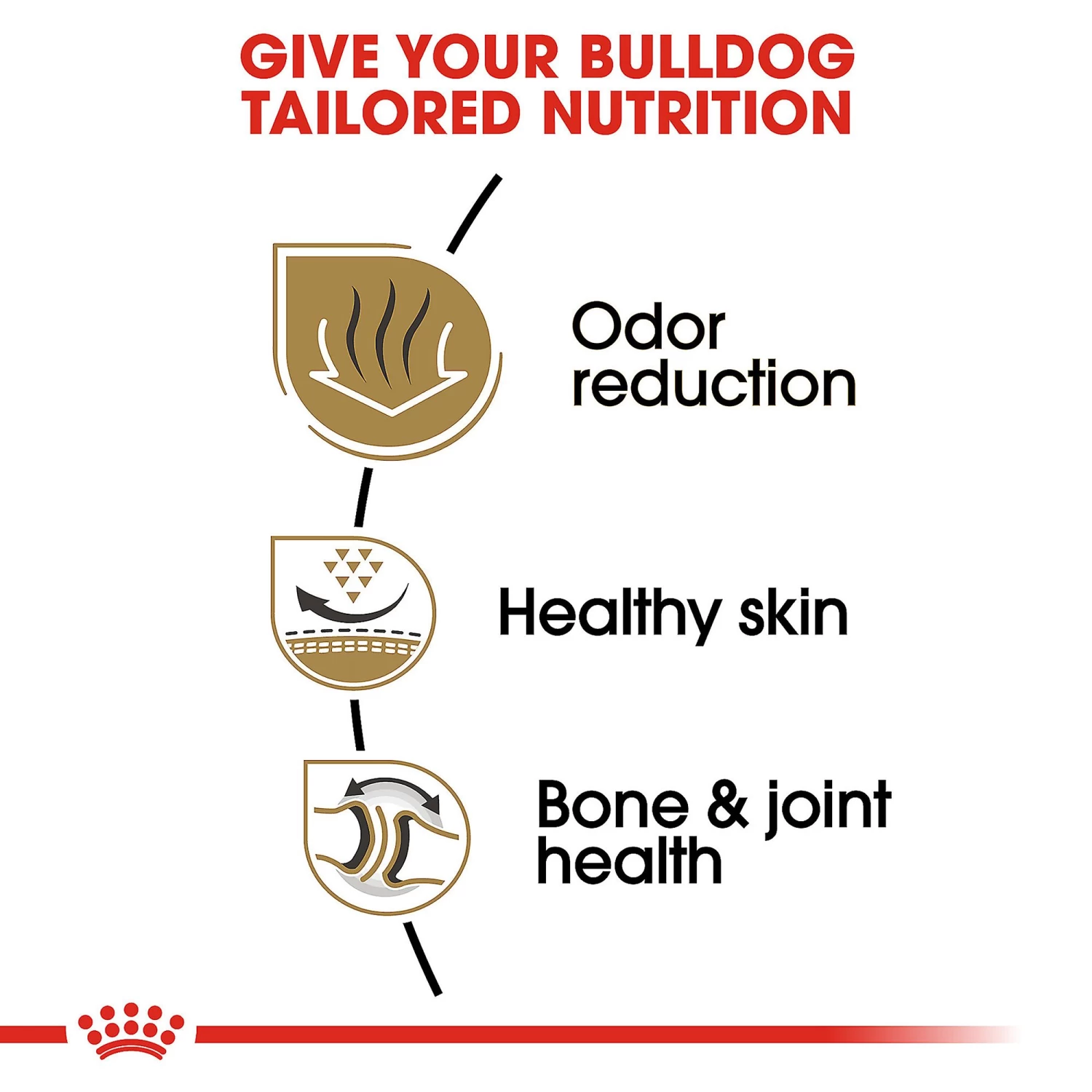 Royal Canin® Breed Health Nutrition® Bulldog Adult Dry Dog Food 5 Royal Canin® Breed Health Nutrition® Bulldog Adult Dry Dog Food - Image 5