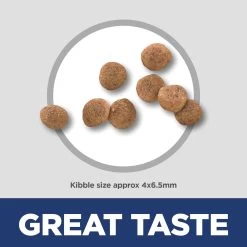 Hill's Science Diet Small & Mini Puppy Dry Dog Food - Chicken 9 Hill's Science Diet Small & Mini Puppy Dry Dog Food - Chicken -Pet Essentials Shop 5151374 alt2