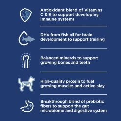 Hill's Science Diet Small & Mini Puppy Dry Dog Food - Chicken 12 Hill's Science Diet Small & Mini Puppy Dry Dog Food - Chicken -Pet Essentials Shop 5151374 alt5