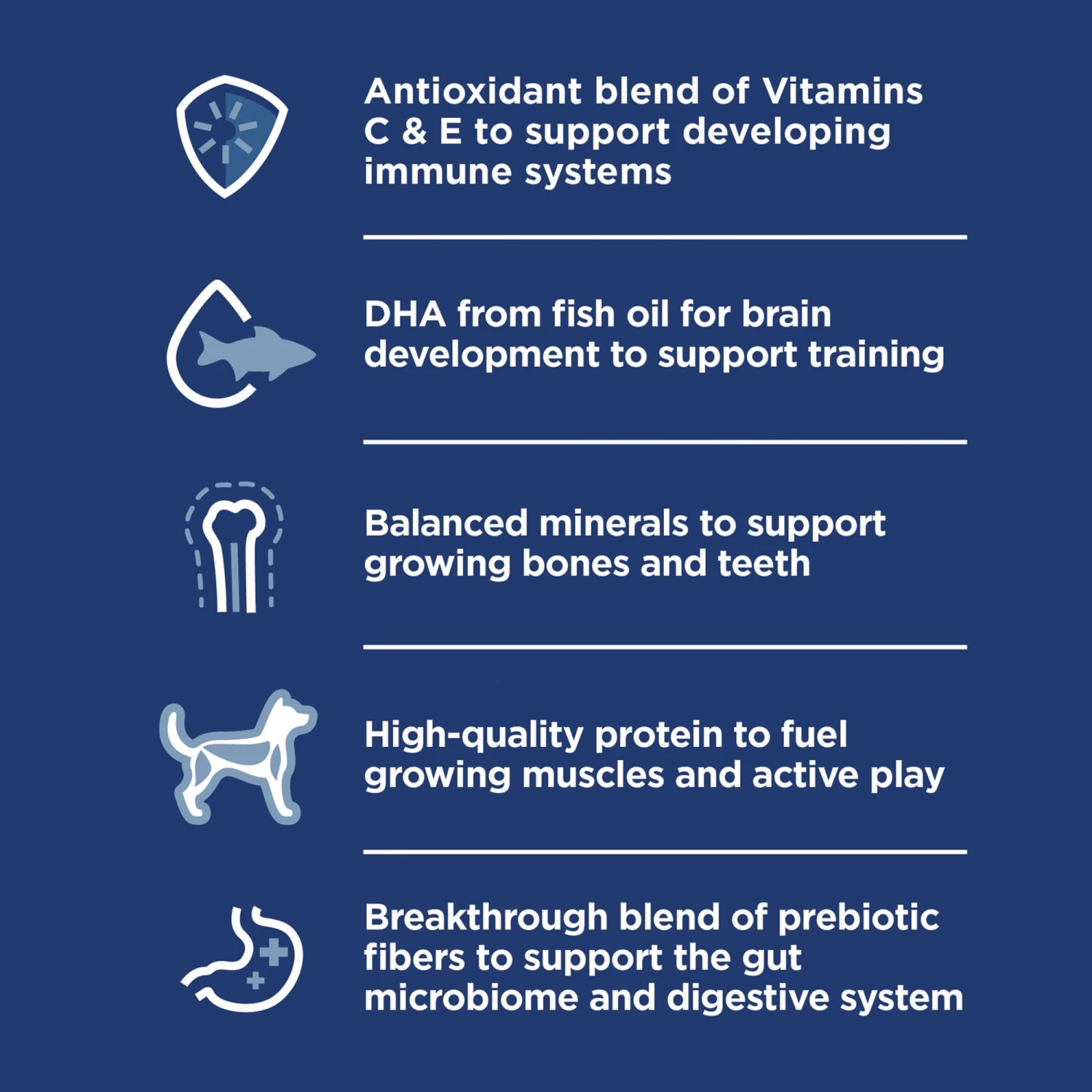Hill's Science Diet Small & Mini Puppy Dry Dog Food - Chicken 6 Hill's Science Diet Small & Mini Puppy Dry Dog Food - Chicken - Image 6