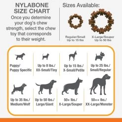 Nylabone® DuraChew® Plus Ring Chew Dog Toy -Pet Essentials Shop 5158663 alt3