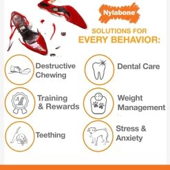 Nylabone® DuraChew® Plus Ring Chew Dog Toy -Pet Essentials Shop 5158663 alt4