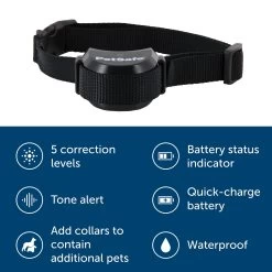 PetSafe® Stay & Play Wireless Fence Receiver Dog Collar -Pet Essentials Shop 5163050 alt2