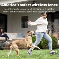 PetSafe® Stay & Play Wireless Fence Receiver Dog Collar -Pet Essentials Shop 5163050 alt4
