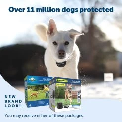 PetSafe® Stay & Play Wireless Pet Fence -Pet Essentials Shop 5163051 alt5