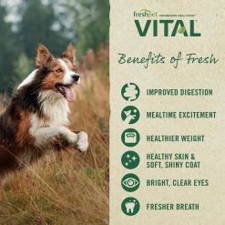 Freshpet® Vital™ Grain Free Complete Meals Chicken, Beef, Salmon & Egg Adult Dog Food -Pet Essentials Shop 5167198 alt3