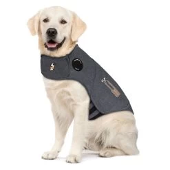 ThunderShirt® Insanely Calm&trade; Dog Anxiety Shirt