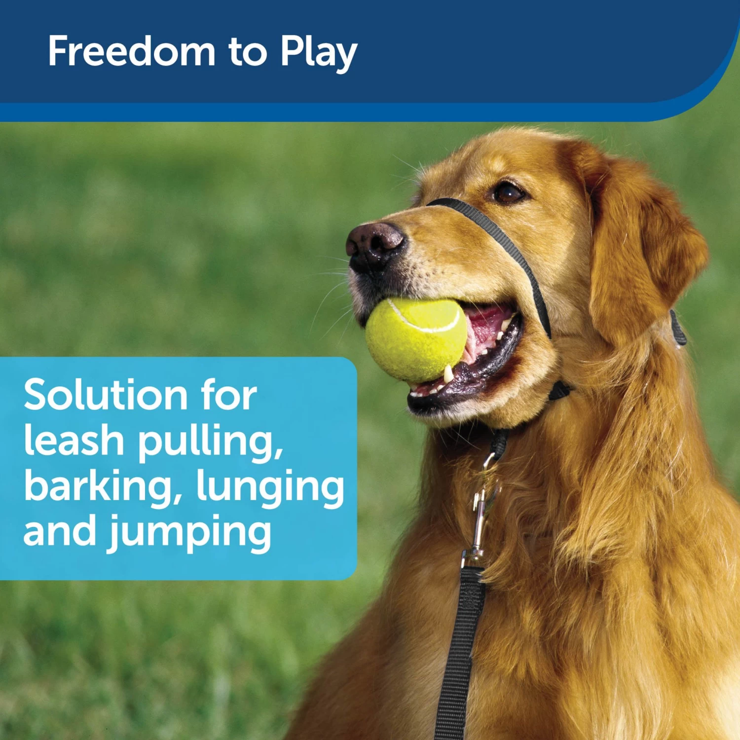 PetSafe Easy Walk Headcollar - Black 2 PetSafe Easy Walk Headcollar - Black - Image 2