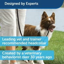 PetSafe Easy Walk Headcollar - Black 7 PetSafe Easy Walk Headcollar - Black -Pet Essentials Shop 5180352 alt2