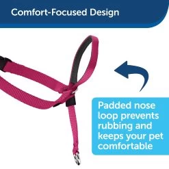 PetSafe Easy Walk Headcollar - Black 8 PetSafe Easy Walk Headcollar - Black -Pet Essentials Shop 5180352 alt3
