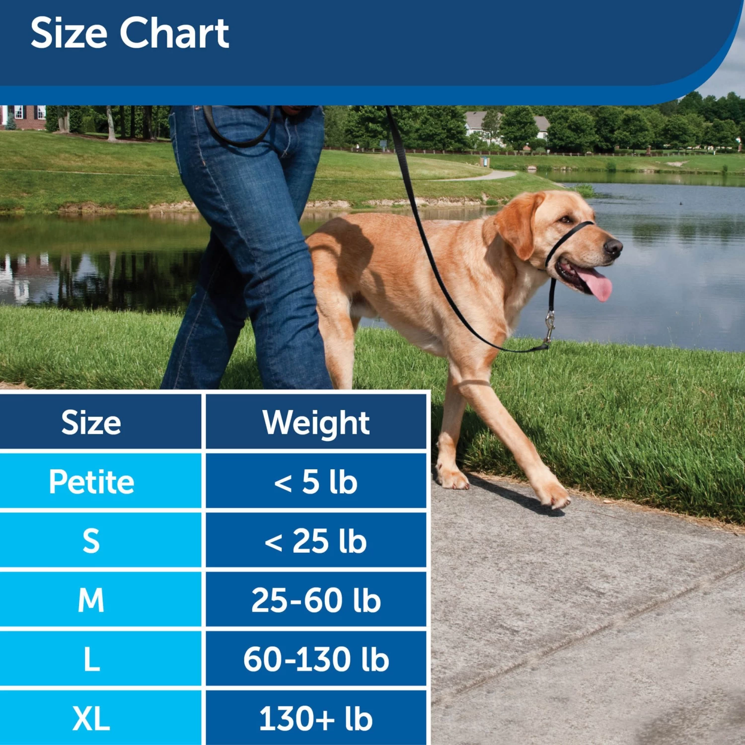 PetSafe Easy Walk Headcollar - Black 5 PetSafe Easy Walk Headcollar - Black - Image 5