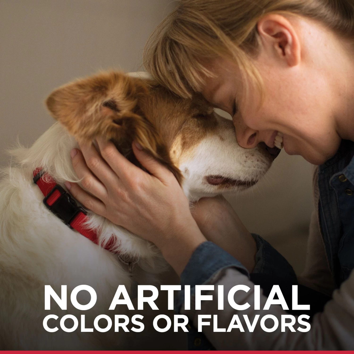 Hill's® Science Diet® Mini Jerky Strips Dog Treat - Natural, Beef 3 Hill's® Science Diet® Mini Jerky Strips Dog Treat - Natural, Beef - Image 3