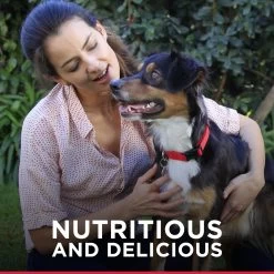 Hill's® Science Diet® Mini Jerky Strips Dog Treat - Natural, Beef 8 Hill's® Science Diet® Mini Jerky Strips Dog Treat - Natural, Beef -Pet Essentials Shop 5181654 alt3