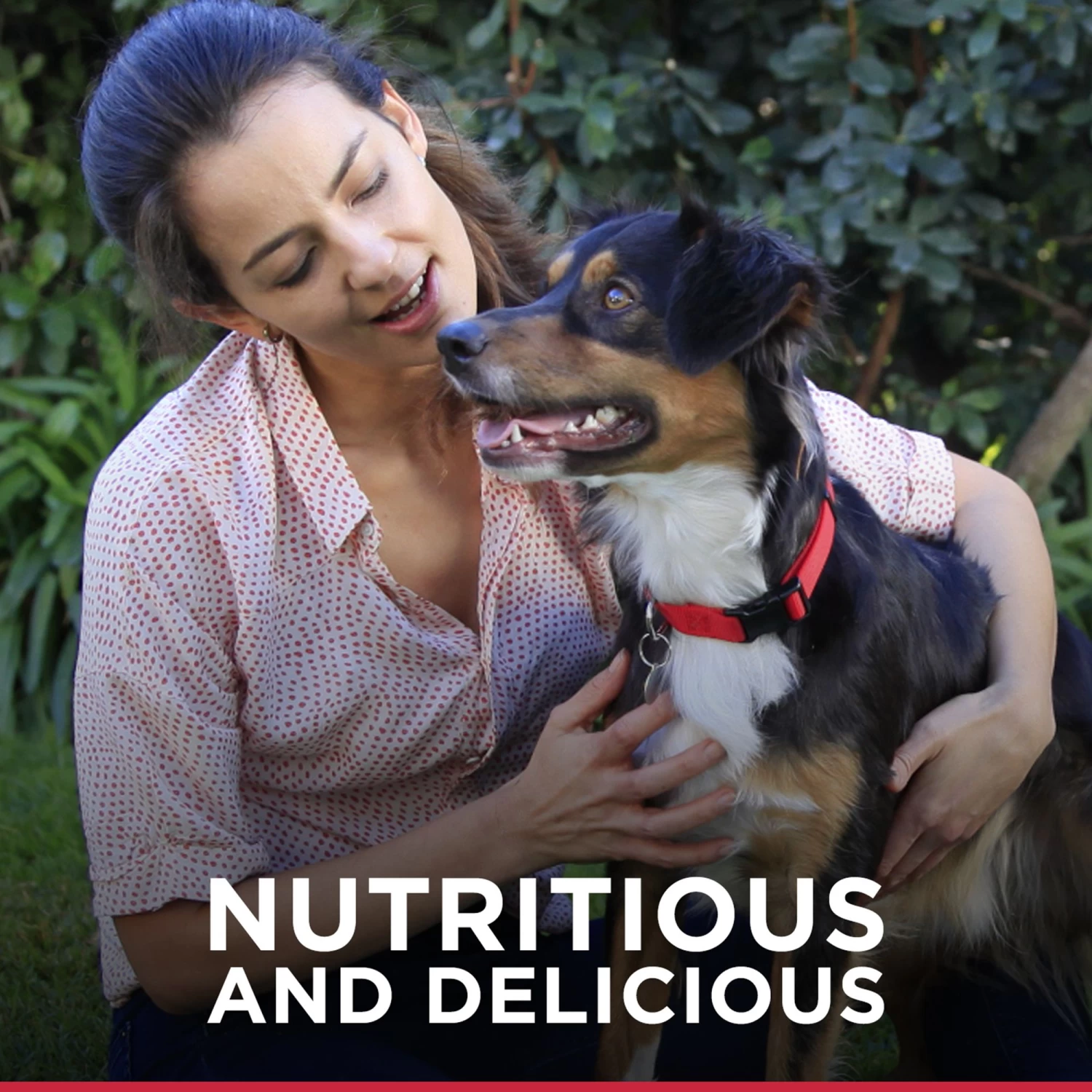 Hill's® Science Diet® Mini Jerky Strips Dog Treat - Natural, Beef 4 Hill's® Science Diet® Mini Jerky Strips Dog Treat - Natural, Beef - Image 4