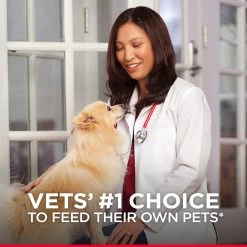 Hill's® Science Diet® Mini Jerky Strips Dog Treat - Natural, Beef 9 Hill's® Science Diet® Mini Jerky Strips Dog Treat - Natural, Beef -Pet Essentials Shop 5181654 alt4