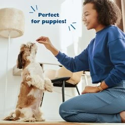 Bil-Jac® Original Recipe Dog Treat 9 Bil-Jac® Original Recipe Dog Treat -Pet Essentials Shop 5181685 alt4