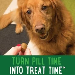 Greenies Pill Pockets Dog Treats For Capsules - Peanut Butter 7 Greenies Pill Pockets Dog Treats For Capsules - Peanut Butter -Pet Essentials Shop 5184112 alt2