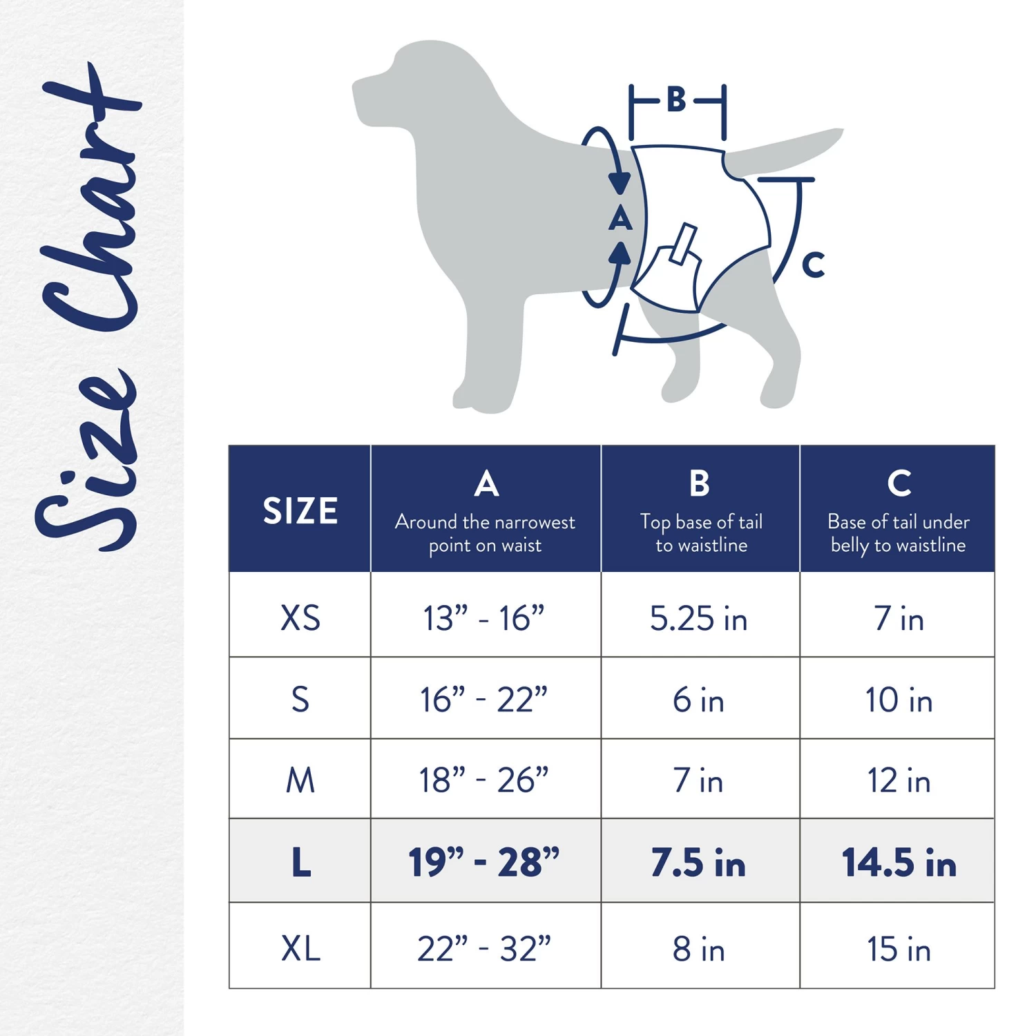 Top Paw® Disposable Dog Diapers - 12 Pack 2 Top Paw® Disposable Dog Diapers - 12 Pack - Image 2