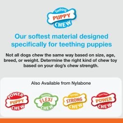 Nylabone® Puppy Chew Dog Toys - 2 Pack -Pet Essentials Shop 5194798 alt3