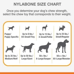 Nylabone® Puppy Chew Dog Toys - 2 Pack -Pet Essentials Shop 5194798 alt4