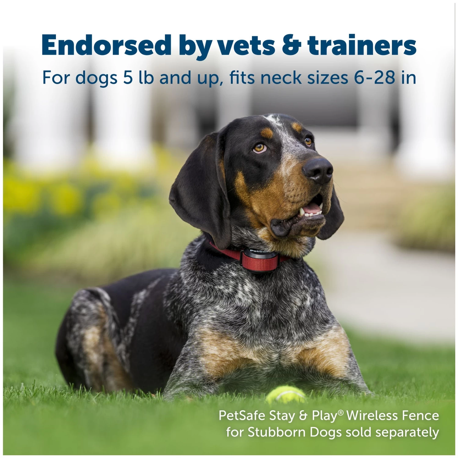 PetSafe® Stubborn Dog Stay & Play Fence Receiver Dog Collar 2 PetSafe® Stubborn Dog Stay & Play Fence Receiver Dog Collar - Image 2