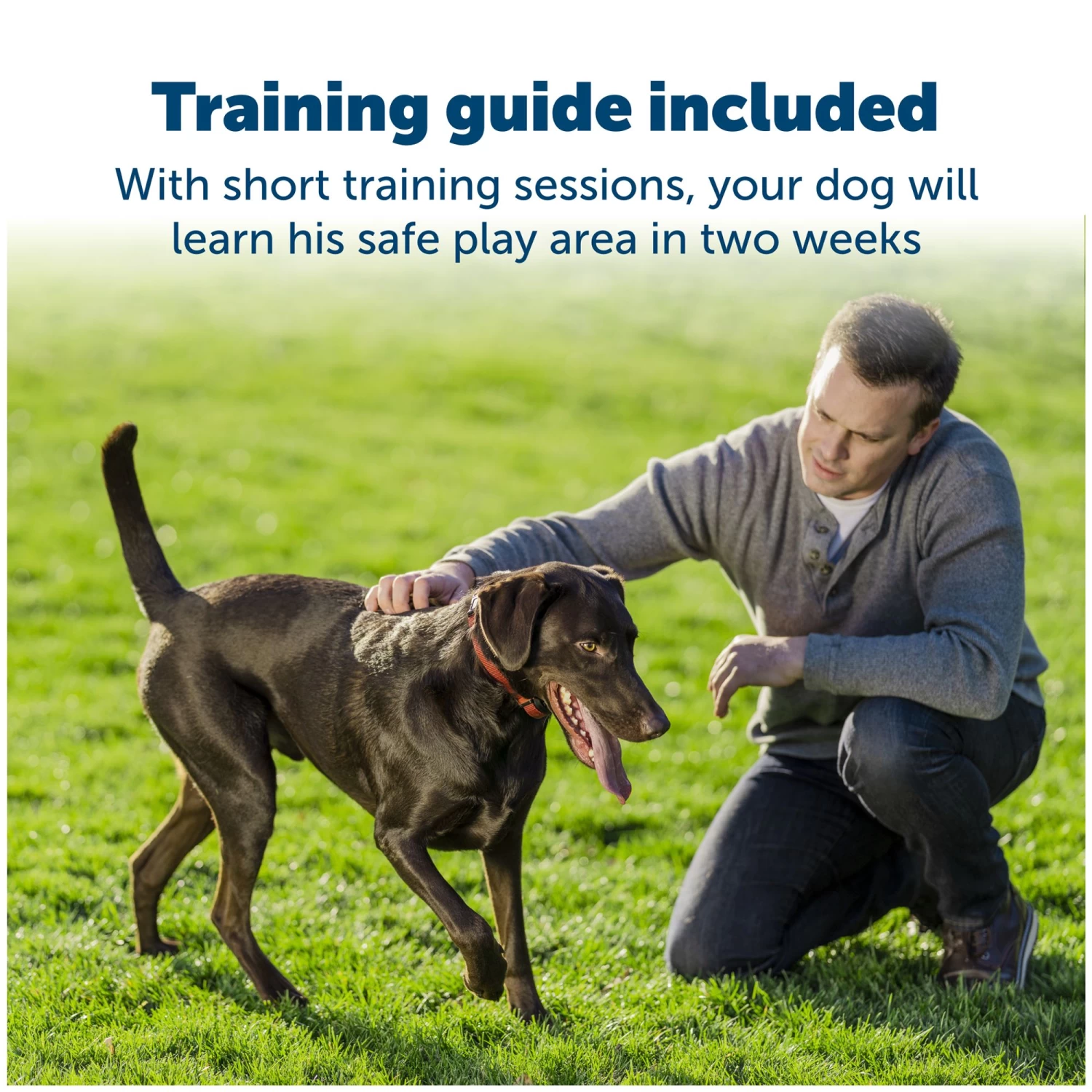 PetSafe® Stubborn Dog Stay & Play Fence Receiver Dog Collar 4 PetSafe® Stubborn Dog Stay & Play Fence Receiver Dog Collar - Image 4