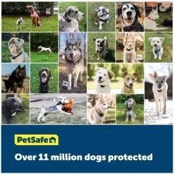PetSafe® Stubborn Dog Stay & Play Fence Receiver Dog Collar 11 PetSafe® Stubborn Dog Stay & Play Fence Receiver Dog Collar -Pet Essentials Shop 5202805 alt5