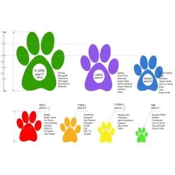 PawZ® Rubber Dog Boots -Pet Essentials Shop 5208557 alt4